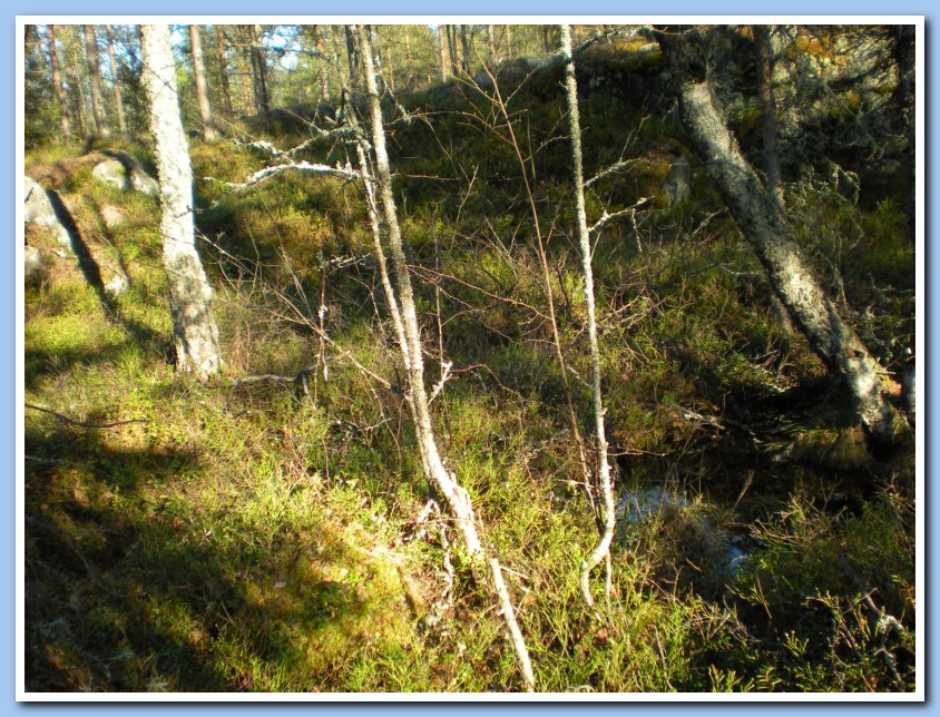 vatpakka 174